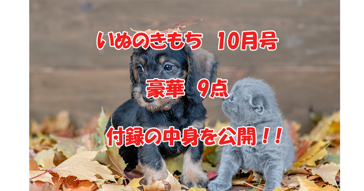いぬのきもち10月号　付録の中身を公開
